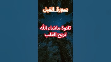 سورة الفيل #الشيخ_محمد_الفقيه #اكسبلور #المصحف