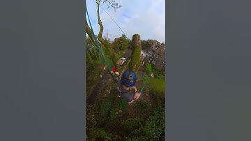 Straight to the drop zone. Smooth rigging from Mike Curwen. #rigging #arborist #chainsaw