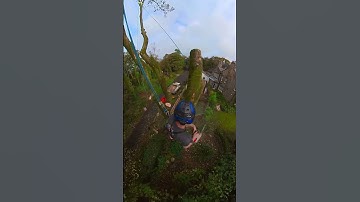 Straight to the drop zone. Smooth rigging from Mike Curwen. #rigging #arborist #chainsaw