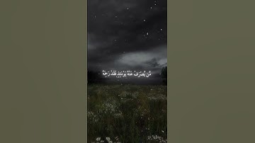 سورة الأنعام|١٥-١٦|القارئ:#ياسر_الدوسري #قران #quran #راحة_نفسية #قران_كريم #تلاوة #آية #تلاوة_خاشعة