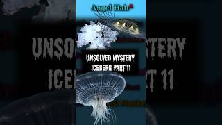 Unsolved Mystery Iceberg Part 11 - Angel Hair shorts