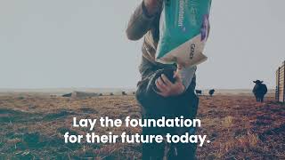 Foundation 150 Bovine Colostrum