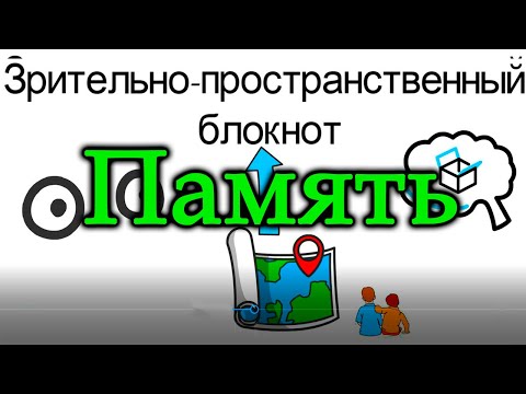 КАК РАБОТАЕТ НАША ПАМЯТЬ? РАБОЧАЯ ПАМЯТЬ. Психология памяти. Модель рабочей памяти Бэддели.