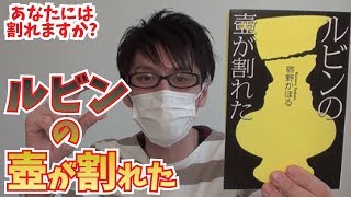 【この壺割れますか？】ルビンの壺が割れた　を紹介！【宿野かほる】