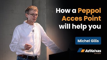 How a Peppol Access Point will help you