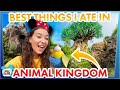 Best Things I Ate in Disney&#39;s Animal Kingdom