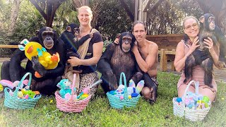 Chimpanzee Easter Baskets   | Myrtle Beach Safari