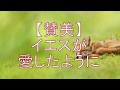 【P&W】 イエスが愛したように ー 美しい風景動画とともに