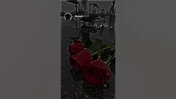 انا بدفع عمري ونرجع سوا بطئ 