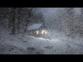 Cold Howling Wind & Heavy Snowstorm - Sounds for Sleep, Study, and Relaxation