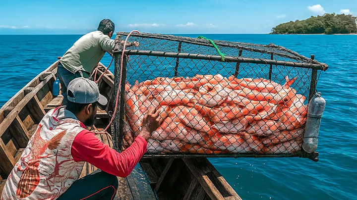 Fast process of catching fish by trapping | Catch and sell | Fishing