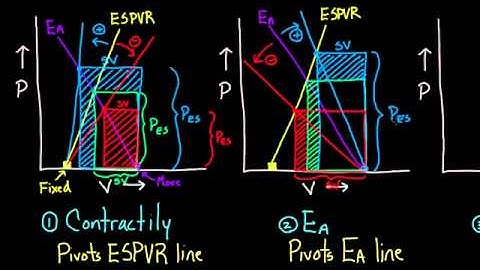 01   Changing the PV loop   10   Contractility, Ea, and preload effects on PV boxes