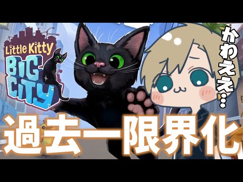 【Little Kitty, Big City】昨日発売したばかりの新作！猫が大冒険するゲームで猫ライフを楽しもう！うちの愛猫ごまちゃん🐈‍⬛と似すぎてて限界化不可避…【志士雄/Vtuber】