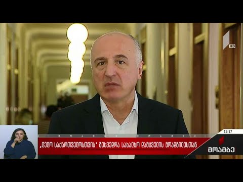 „ლელოს“ წევრების შეხვედრა სახალხო დამცველის მოადგილესთან