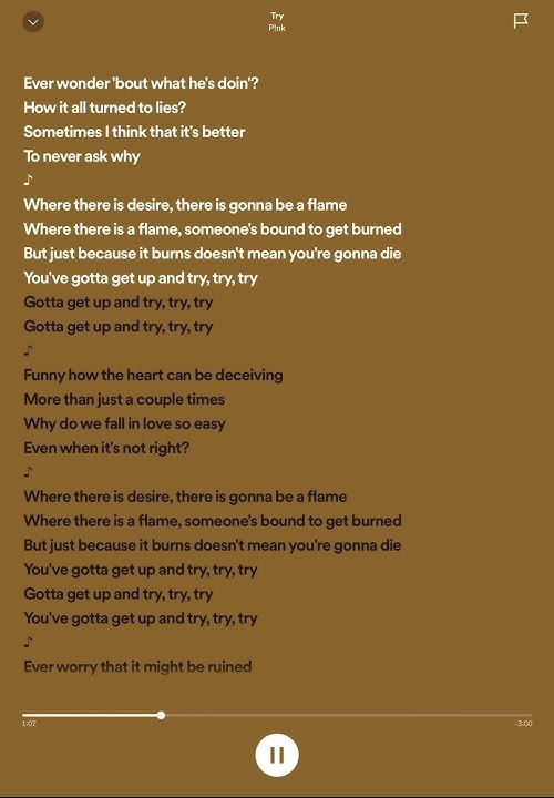 Try-P!nk #shorts #youtubeshorts #spedup #speduptiktok #bestspedup