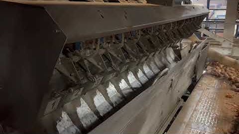 Sorma P 14 26 Multihead weigher