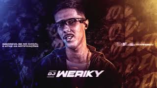 GOSTOSA HOJE EU VOU PEDIR A TUA MÃO TU JOGA TIKTOK ( DJ WERIKY )