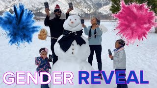 Baby #3 Gender Reveal ⛄️ SNOWMAN 💖💙 Emotional