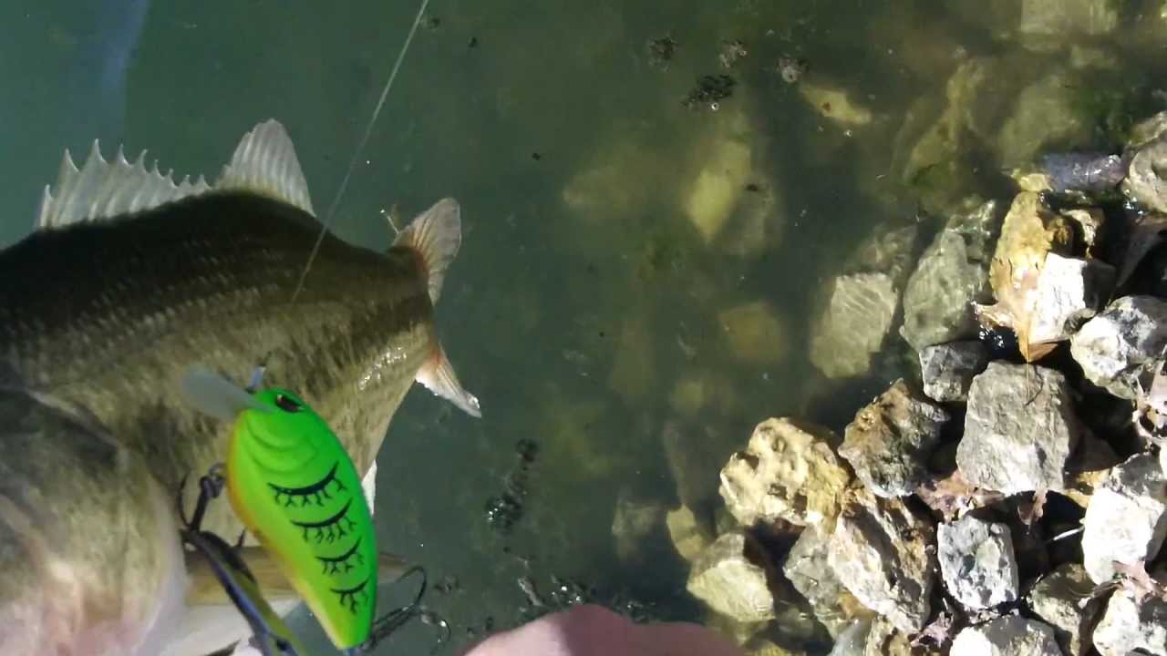 Largemouth bass fishing YouTube
