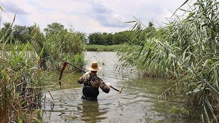 Накосил Рыбу С Помошью Косы, Рыбалка На Карася, Ловля Рыбы, Хороший Клёв