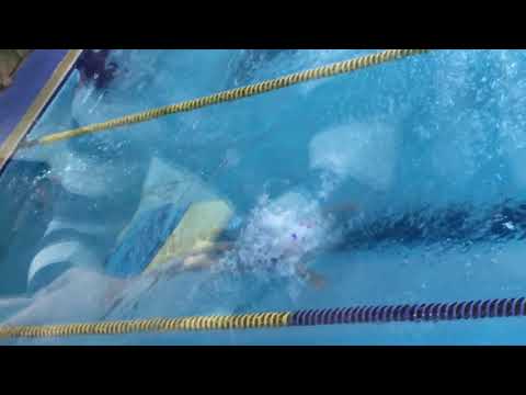 李君芮參加2017 YMCA游泳學校永吉會館 暑假旗魚班檢定 蝶式