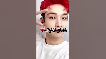 حقيقه مرعبه عن فرقه ستراي كيدز Shorts 