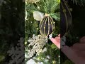 Raz 4" Gold Embellished Black Matte Glass Christmas Ornament 4625018