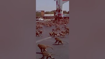 Most Annoying Boss in Zombies? 🤔