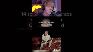 Islands That Are Owned By Animals! 🦖