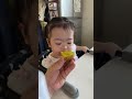 Kiwi for Lunch Dessert – Live Archive 309