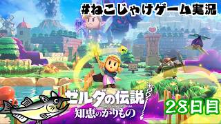ゼルダの伝説　知恵のかりもの　初見プレイ　28日目　#ねこじゃけゲーム実況【積みゲー消化】