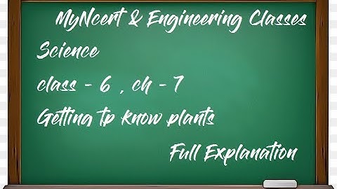 Science | Class - 6 | Chapter 7 | Getting To Know Plants | Explanation In Hindi | Part 1 | MyNcert |
