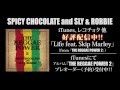 SPICY CHOCOLATE and SLY &amp; ROBBIE 『THE REGGAE POWER 2』Skip Marley MV公開!! [スパイシーチョコレート]