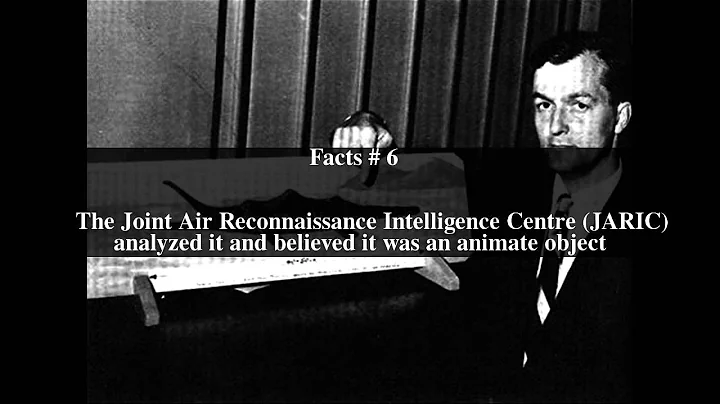 Tim Dinsdale Top # 9 Facts