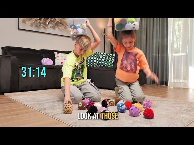 Bouncer balance drop #ty #beaniebouncers