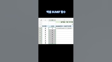 엑셀 함수 SUMIF #shorts
