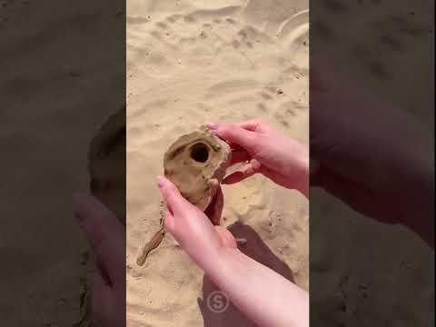 وجدت عين ا في الرمال غريب