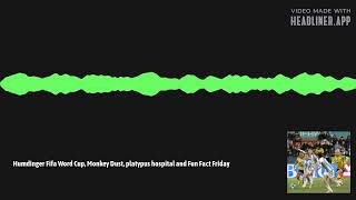 Humdinger Fifa Word Cup, Monkey Dust, platypus hospital and Fun Fact Friday | Stuff.co.nz by Stuff 37 views 9 months ago 19 minutes