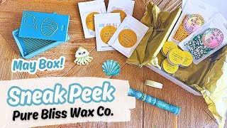 Its Mer-May! Sneak Peek - Diamond Painting Box from Pure Bliss Wax Co. Tide Treasures 🧜‍♀️