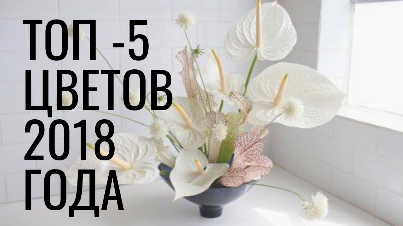 ТОП 5 цветов 2018 года // флористика