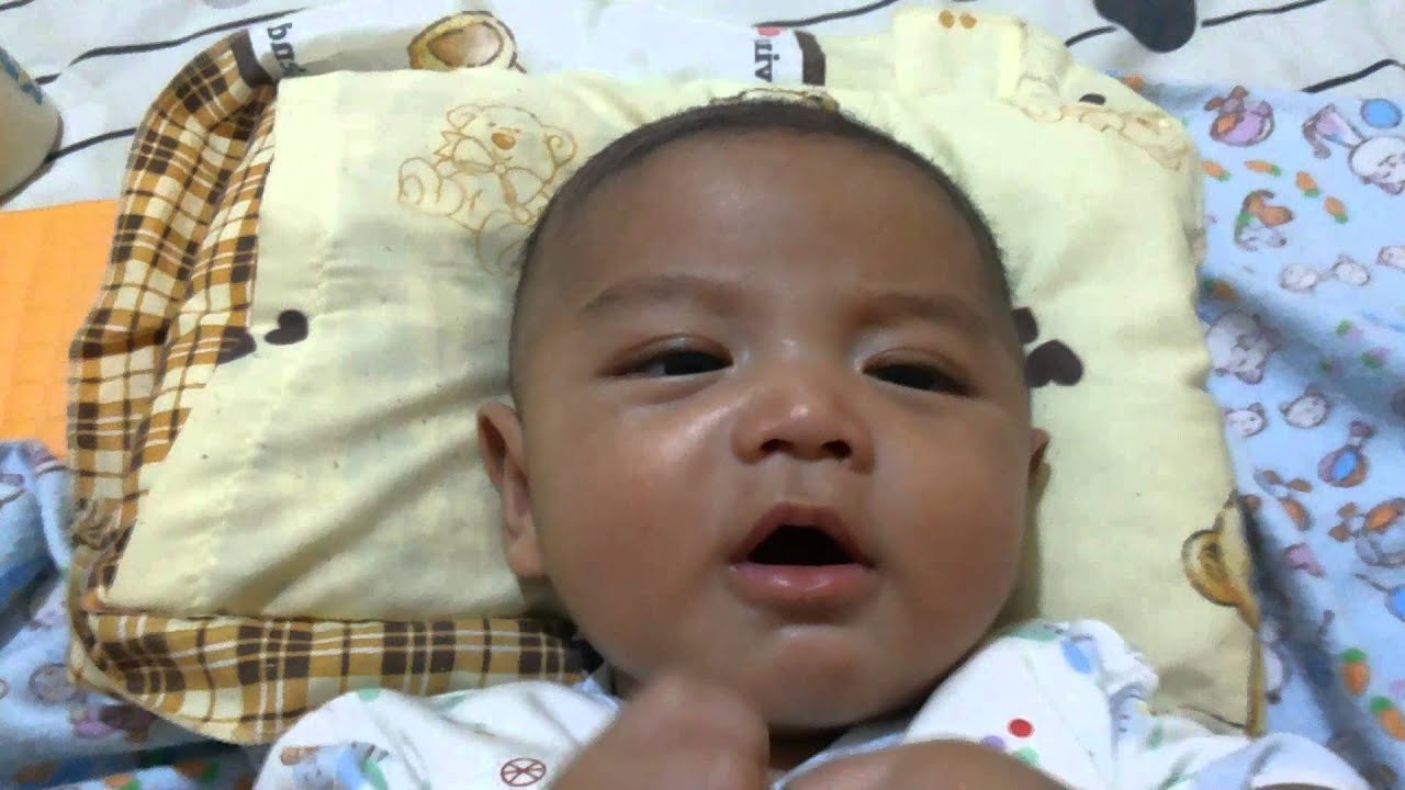  Bayi  lucu  YouTube