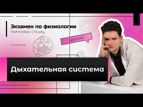 Экзамен по физиологии | ДЫХАТЕЛЬНАЯ СИСТЕМА