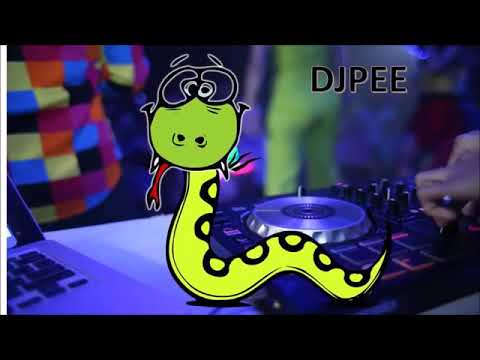 เพลงที่มีงูออกมา แดนซ์ (DJ.SR) รีมิกซ์