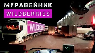 WILDBERRIES - НАЧАЛО ЭКСПРЕССА