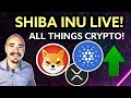 SHIBA INU LIVE! CARDANO UPDATES, XRP UPDATES, AND MORE!