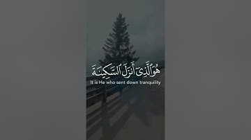 #القرآن_الكريم #foryou #fypシ #راحة_نفسية #ايات #صوت_جميل#القارئ_عبدالرحمن_مسعد