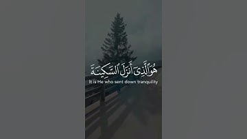 #القرآن_الكريم #foryou #fypシ #راحة_نفسية #ايات #صوت_جميل#القارئ_عبدالرحمن_مسعد