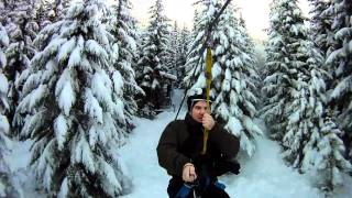 Ziptrek Bear Tour in Whistler/Blackcomb