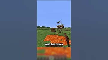 This Is OFFICALLY The Most Useless Item In Minecraft...