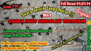 INI DIA SUARA INAP ANDALAN PETANI WALET VIETNAM || 100%ORIGINAL SUARA INAP VIETNAM